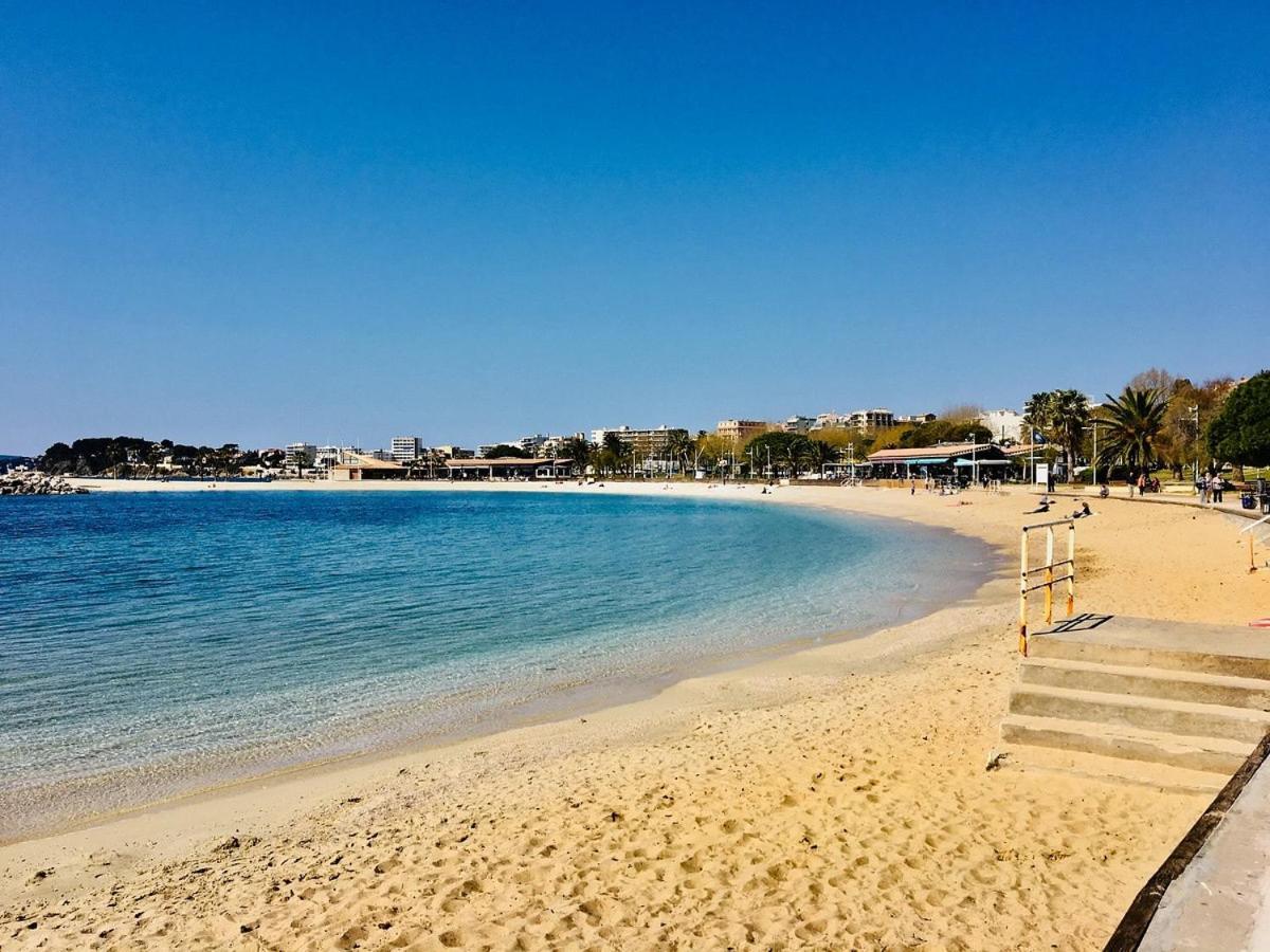 Superbe Appartement Proche Gare Toulon Exteriör bild