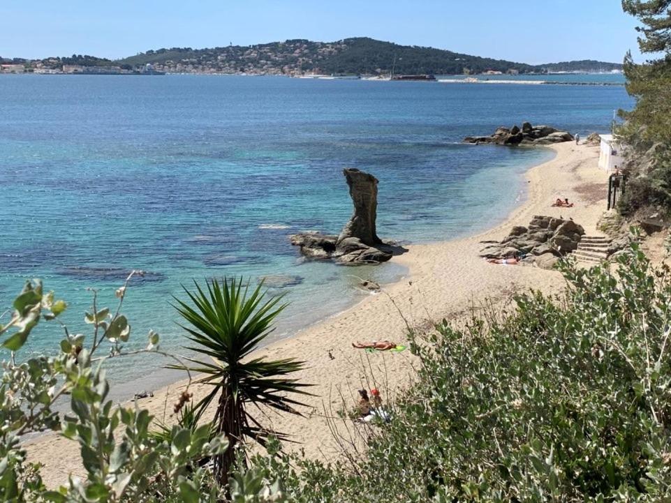 Superbe Appartement Proche Gare Toulon Exteriör bild